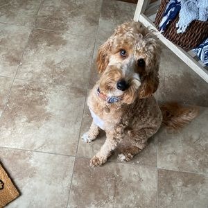 Meet your Posher, Darrell